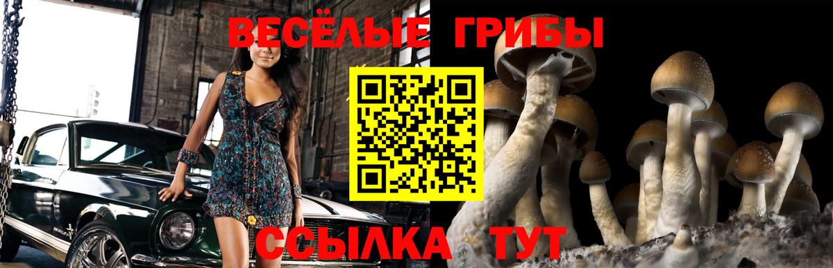 Реутов  Псилоцибиновые грибы Psilocybe  хочу наркоту  Вход с VPN 